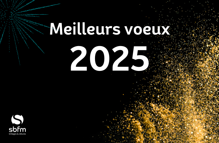 Illustration Meilleurs vœux 2025 ! 